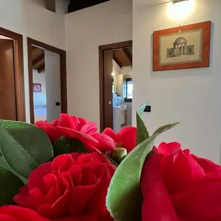 Apartment Kibilu - Maggiore Cardana